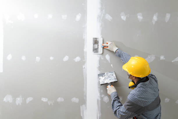 Best Drywall Installation  in Rochester, WA